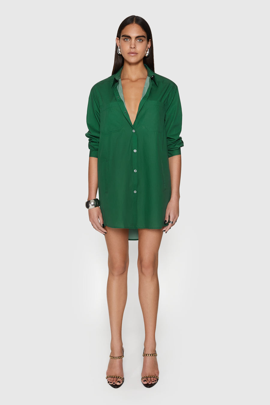 tori dress   cotton poplin   basil Color Name,