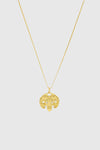 Aries Zodiac Medallion Necklace