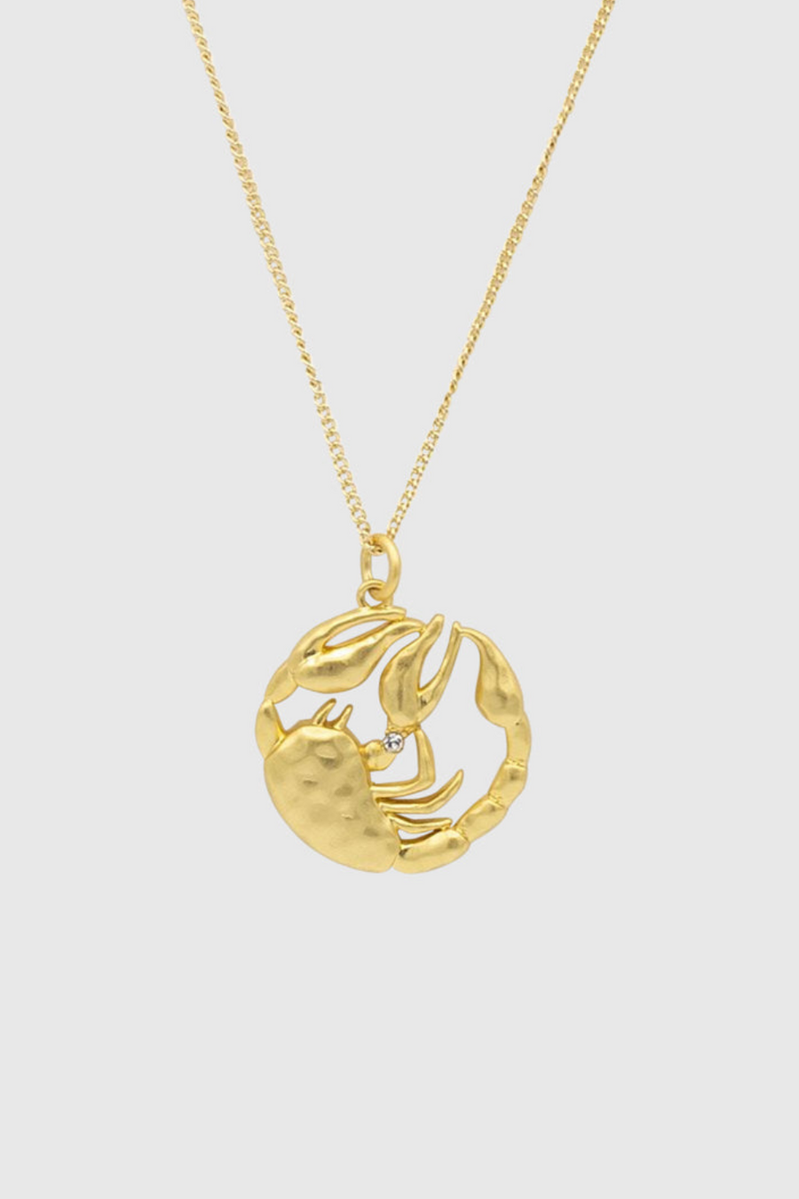 Scorpio Zodiac Medallion Necklace