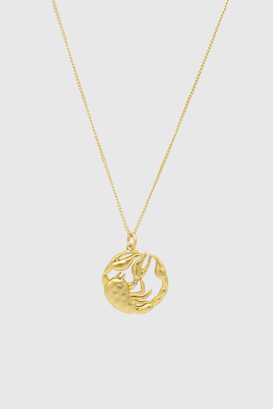 Scorpio Zodiac Medallion Necklace